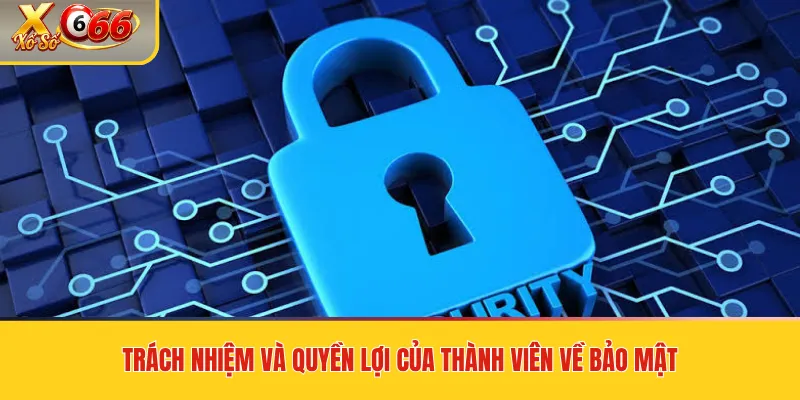 Trách nhiệm và quyền lợi của thành viên về bảo mật